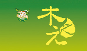 關于山木子